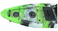 scorpio-pedal-fish-1224
