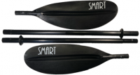 smart-4cz