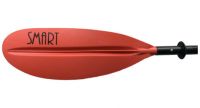 smart-4cz_3