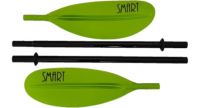smart-4cz_5